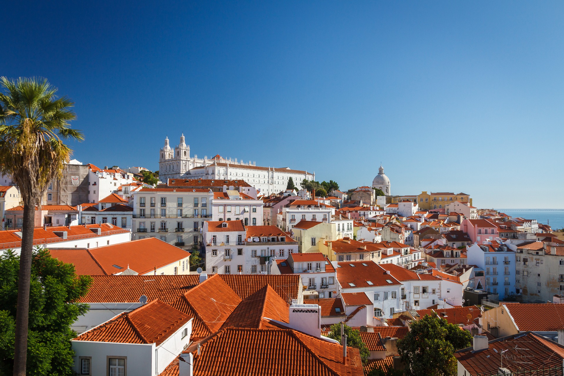 Portugal - O Cantar dos Passarinhos
